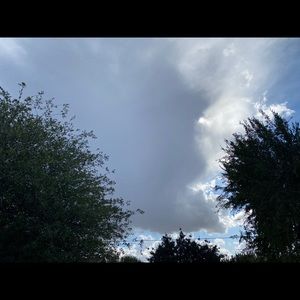 Meet your Posher, Gris